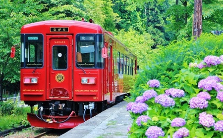 観光 列車 「ながら」 スイーツ プラン 予約券(シングル) | 長良川鉄道 M28S13