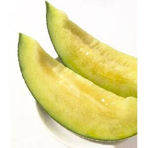 y2026NĔzݓc_@1(TCY1.8kgȏ)y1684612z