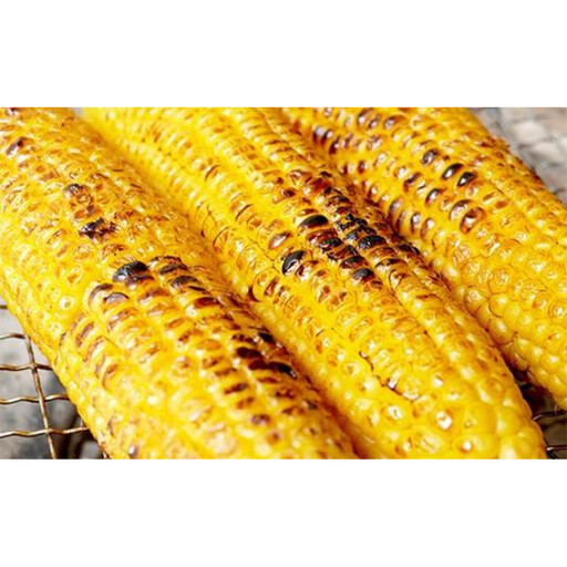 2026年夏発送 ★数量50限定品★ 北海道のとうもろこし「ゴールドラッシュ」 10本セット  (岸田農園産)｜とうもろこし