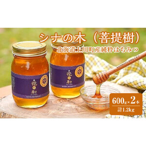 【2026年8月下旬から発送開始】北海道上川町産純粋はちみつ　シナの木（菩提樹）600ｇ×2本セット| はちみつ