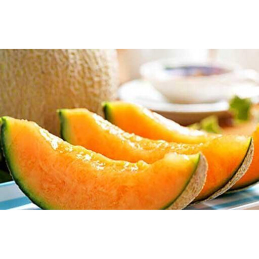 2026年夏発送★ [特大サイズ!!] 岸田農園産 北海道メロン 2玉入り(サイズ:2.5kg以上)[30セット限定]|メロン