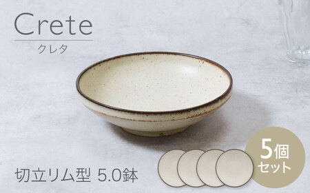 【美濃焼】クレタ 切立リム型 5.0鉢 5点セット【カネ定製陶】 ボウル 食器セット ナチュラル[MEI267]