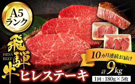 [10回定期便]飛騨牛 ヒレステーキ 180g×5枚[有限会社マルゴー]土岐市 岐阜産 肉 お肉 牛肉 国産 和牛 牛肉 A5等級 霜降り レア レアステーキ 鉄板焼き BBQ バーベキュー フィレ ヘレ 冷凍 保存 高級 贅沢 贈り物 プレゼント 9kg 送料無料 