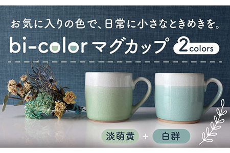 [美濃焼]bi-colorマグカップ 2色セット (淡萌黄・白群)[山二製陶所]食器 マグカップ マグ コーヒーカップ ティーカップ コップ カップ 焼き物 陶磁器 美濃焼 食器セット ペア おしゃれ かわいい シンプル 送料無料 緑 グリーン 青 ブルー 
