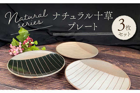 [美濃焼]ナチュラル十草 プレート 3枚セット[竜仙窯]食器 皿 プレート 副菜皿 パン皿 ケーキ皿 取り皿 ソーサー 家族 おもてなし カフェ風 かわいい おしゃれ レンジ対応 食洗機対応 送料無料 