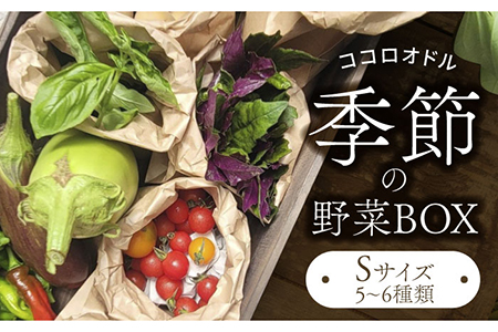 季節の野菜BOX Sサイズ (5〜6種類)[Farm Regalo]旬野菜 冷蔵 おまかせ 詰め合わせ セット 料理 春 夏野菜 秋 冬 葉 根菜 ハーブ ヘルシー 健康 新鮮 おいしい 美味しい アレルギー対応 送料無料 