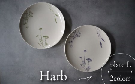 【美濃焼】Harb-ハーブ- プレートL 2色セット【Felice-フェリーチェ-藤田陶器】食器 パスタ皿 ケーキ皿 ワンプレート ペア [MBX050]