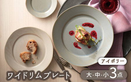 [美濃焼]ワイドリム プレート 大・中・小 3点セット アイボリー[金正陶器]食器 丸皿 リム皿 パスタ カレー ケーキ メインディッシュ ランチ ディナー アイボリーホワイト 写真映え シンプル おしゃれ レンジ対応 食洗機対応 送料無料 