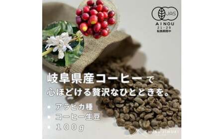岐阜県産コーヒー生豆 100g