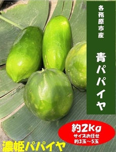 1044 濃姫パパイヤ 約2kg サイズお任せ 岐阜県産 無農薬 無添加