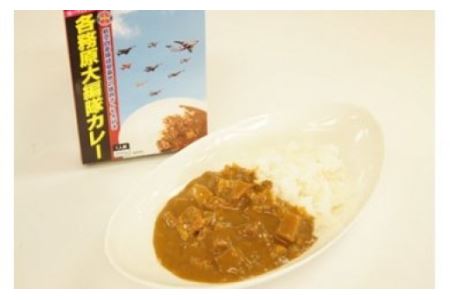 各務原大編隊カレー 10箱セット
