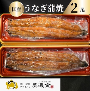1036 美濃金 神田本店 炭焼 国産うなぎ蒲焼2