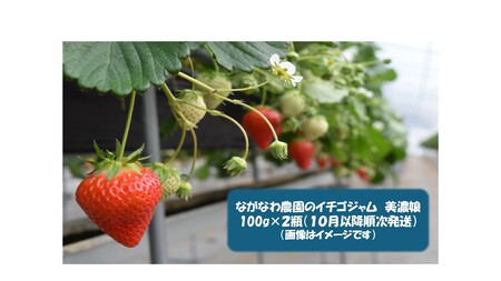 1107 ながなわ農園のいちごジャム 美濃娘 100g×2瓶 数量限定