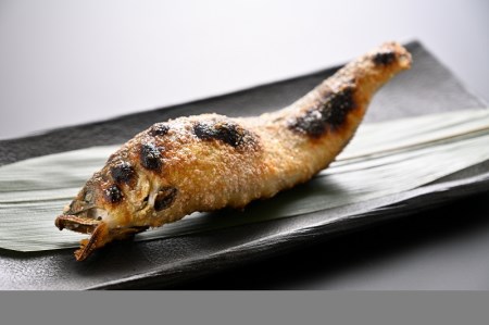 うなぎ屋たむろの岐阜の鮎 塩焼き10尾セット(鰻蒲焼き1尾付き)