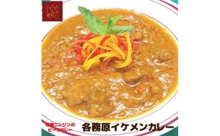 各務原イケメンカレー5袋セット