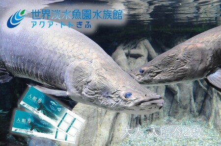 506 世界淡水魚園水族館　アクア・トトぎふ　入館券（大人2枚）