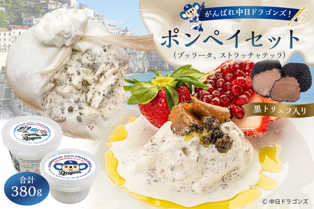 がんばれ中日ドラゴンズ!ポンペイセット[中日ドラゴンズコラボ] チｰズ 乳製品 ブッラｰタ ストラッチャテッラ 黒トリュフ イタリアンチｰズ フレッシュチｰズ ドラゴンズ コラボ [0073-082]