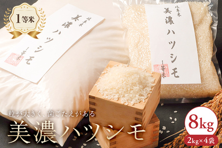 2024年産米 美濃ハツシモ 1等米8kg(2kg×4袋)[0021-007] 米 白米 ごはん 自家精米 歯ごたえ あっさり