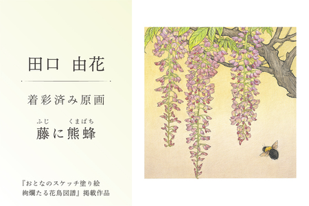 田口由花 着彩済み原画「藤に熊蜂(ふじにくまばち)」(『おとなのスケッチ塗り絵 絢爛たる花鳥図譜』掲載作品)[0109-002-3]色鉛筆画 日本画 絵画 インテリア 原画 芸術品 美術品