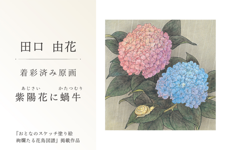 田口由花 着彩済み原画「紫陽花に蝸牛(あじさいにかたつむり)」(『おとなのスケッチ塗り絵 絢爛たる花鳥図譜』掲載作品)[0109-002-5]色鉛筆画 日本画 絵画 インテリア 原画 芸術品 美術品