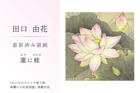 田口由花 着彩済み原画「蓮に蛙(はすにかえる)」(『おとなのスケッチ塗り絵 絢爛たる花鳥図譜』掲載作品)[0109-002-6]色鉛筆画 日本画 絵画 インテリア 原画 芸術品 美術品