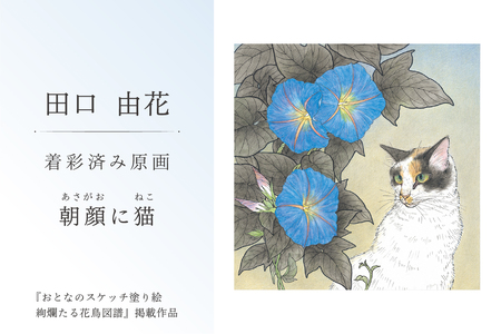 田口由花 着彩済み原画「朝顔に猫(あさがおにねこ)」(『おとなのスケッチ塗り絵 絢爛たる花鳥図譜』掲載作品)[0109-002-7]色鉛筆画 日本画 絵画 インテリア 原画 芸術品 美術品