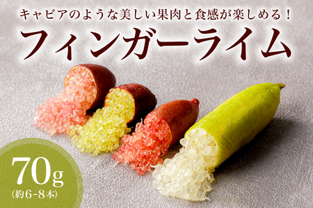 [先行受付]フィンガーライム 70g[0094-003]岐阜県 可児市 果物 果実 新時代 国産 キャビアライム 森のキャビア フルｰツキャビア ブッシュ 希少 柑橘 カルパッチョ ロｰストビｰフ アイス カクテル 炭酸 トッピング フルｰツ 希少