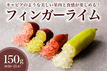 【先行受付】フィンガーライム　150g【0094-004】岐阜県 可児市 果物 果実 新時代 国産 ｷｬﾋﾞｱﾗｲﾑ 森のｷｬﾋﾞｱ ﾌﾙｰﾂｷｬﾋﾞｱ ﾌﾞｯｼｭｷｬﾋﾞｱ 希少 柑橘 ｶﾙﾊﾟｯﾁｮ ﾛｰｽﾄﾋﾞｰﾌ ｱｲｽ ｶｸﾃﾙ 炭酸 ﾄｯﾋﾟﾝｸﾞ ﾌﾙｰﾂ 希少 