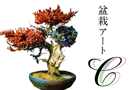 盆栽アート[C] [0120-003]盆栽 アｰト 伝統文化 インテリア ディスプレイ 再生 植物