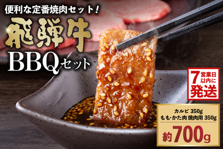 飛騨牛BBQセット(カルビ350g、もも・かた肉 焼き肉用350g)[0016-022-1w]