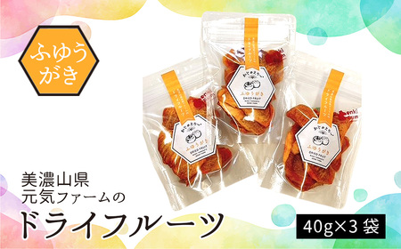 美濃山県元気ファームのドライフルーツかじゅえりー ふゆうがき [No.1100]