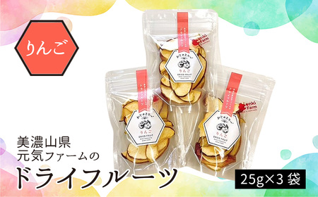 美濃山県元気ファームのドライフルーツかじゅえりー りんご [No.1105]