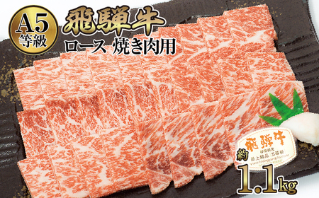 店主こだわり雌牛 飛騨牛A5等級 ロース 焼き肉用 約1.1kg [No.085]