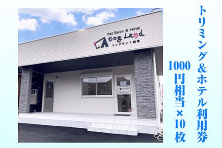 トリミング&ホテル利用券1000円相当×10枚 [No.354]