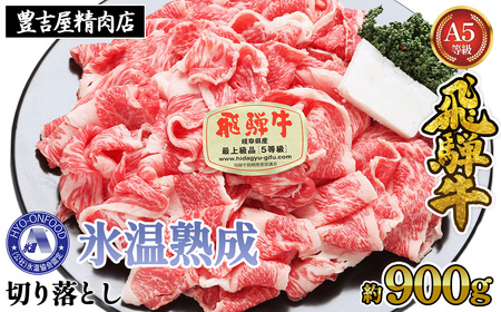 900g؂藎Ƃ@X(R)n@ˋ`T  vg [No.522]