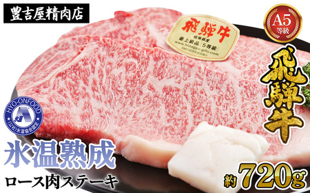 [XXe[L 4i720gj@X(R)n@ˋ`T Lbht[Y [No.530]