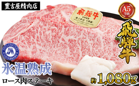 [XXe[L 6i1080gj@X(R)n@ˋ`T Lbht[Y [No.535]