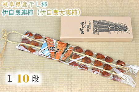 򕌌Y` ɎǘA`iɎǑ`jL 10i 1.25kg [No.726]