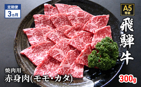 [定期便3ヶ月]牛肉 飛騨牛 焼き肉 セット 赤身 モモ 又は カタ 300g 黒毛和牛 A5 美味しい お肉 牛 肉 和牛 焼肉 BBQ バーベキュー [岐阜県瑞穂市]