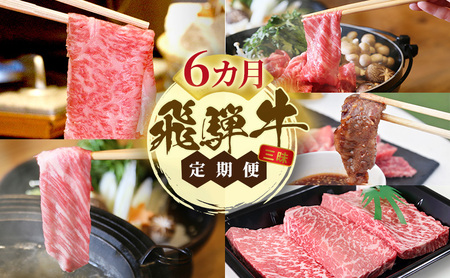 飛騨牛 A5 大満足 飛騨牛三昧 6か月 定期便 ステーキ すき焼き 焼肉