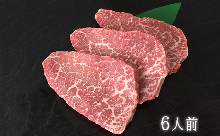 飛騨牛赤身ミニステーキ(6人前) |ステーキ 飛騨牛 ステーキ 牛肉 ステーキ 国産 ステーキ