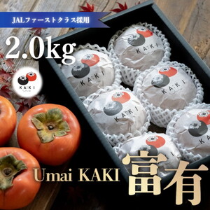 Umai 柿 富有 プレミアム 6玉 2.0kg |柿 柿 柿 柿 柿 柿※2025年11月中旬〜12月中旬頃に順次発送予定