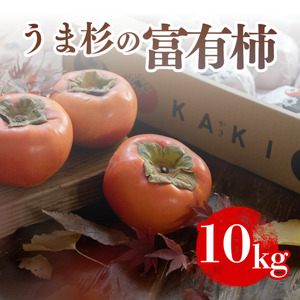 うま杉の富有柿 10kg L |柿 柿 柿 柿 柿 柿※2025年11月中旬〜12月中旬頃に順次発送予定