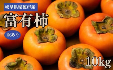 岐阜県瑞穂市産 訳あり富有柿 10kg |柿 柿 柿 柿 柿 柿※2025年11月中旬〜12月中旬頃に順次発送予定