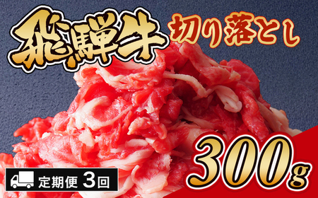 [3ヵ月定期便]飛騨牛切り落とし 300g|牛肉 カレー 切り落とし カレー 和牛 切り落とし 国産 切り落とし 瑞穂市 岐阜県 ※離島への配送不可