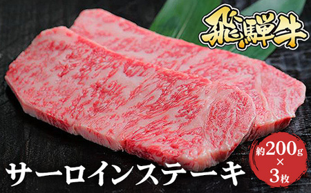 ˋ T[CXe[L@200g×3kCEEւ̔zs