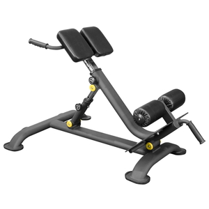 ALBATROSS SYL16013 ハイパーエクステンション ｜トレーニング  ※北海道・沖縄・離島への配送不可