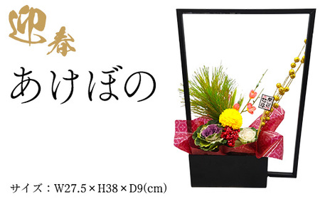 迎春 あけぼの ※2025年12月中旬〜下旬頃に順次発送予定