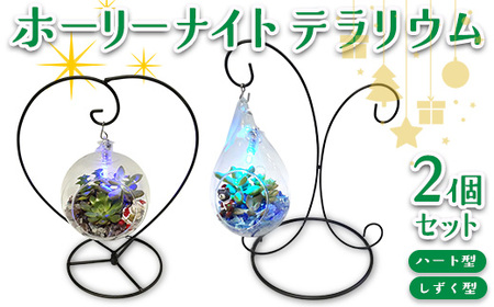 ホーリーナイトテラリウム2個セット(ハート型、しずく型)|多肉植物 テラリウム クリスマス ギフト 贈答用 贈り物 プレゼント ※2025年12月中旬〜12月下旬頃に順次発送予定
