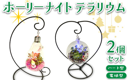 ホーリーナイトテラリウム2個セット(ハート型、電球型)|多肉植物 テラリウム クリスマス ギフト 贈答用 贈り物 プレゼント ※2025年12月中旬〜12月下旬頃に順次発送予定